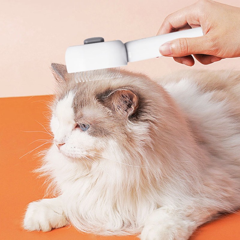 Cat Steam Brush Manufacturer - USB Rechargeable Spray
