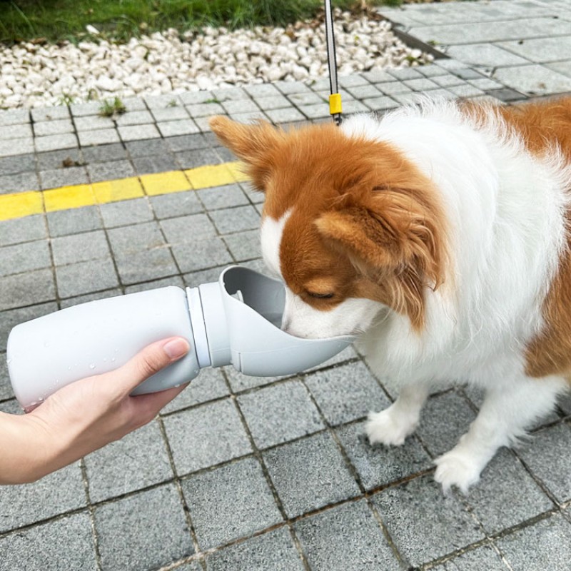 Pet Travel Bottle Factory - Silicone Leak Proof Walking