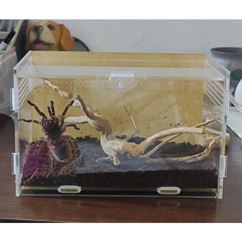 Magnetic Habitat Manufacturer - Stackable Acrylic Ecosystem