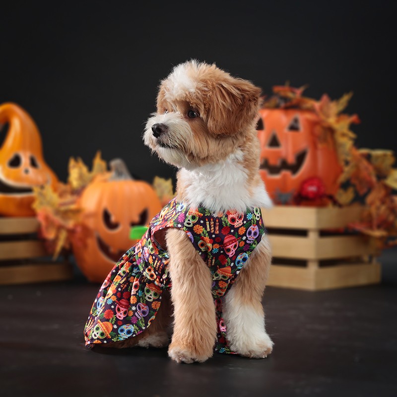 Halloween Pet Gift Manufacturer - Skeleton Bat Costume Dog Collar Cat Neck Holiday Decoration