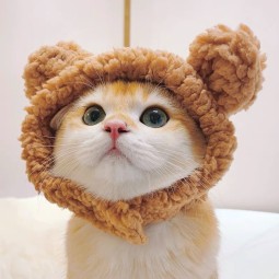 Pet Headband Factory - Cat Lion Headband Optional Hat Halloween Party Funny Pet Hat