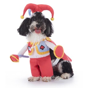 Halloween Dog Costume Supplier - INS Funny Look Transformation Pet Clothes Small Medium Large