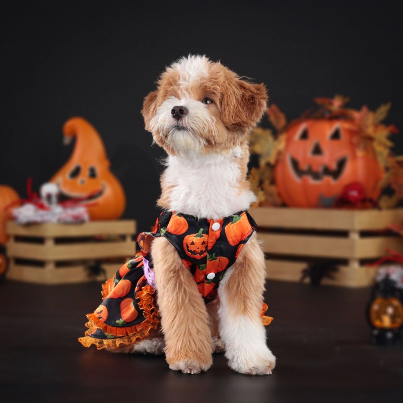 Party Dog Clothes Factory - New Holiday Skirt Outfit Pumpkin Funny Puppy Dress Halloween