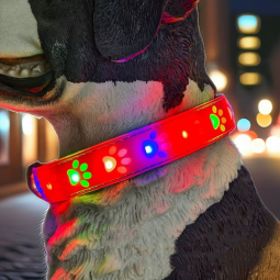LED Dog Collar Factory - USB Rechargeable Glowing Light
