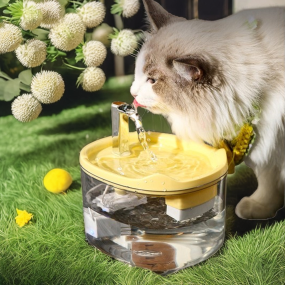 Pet Water Dispenser Supplier - Automatic Filtered Large Capacity