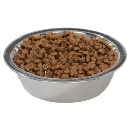 Elevated Dog Bowl Supplier - Stainless Steel Copper Stand