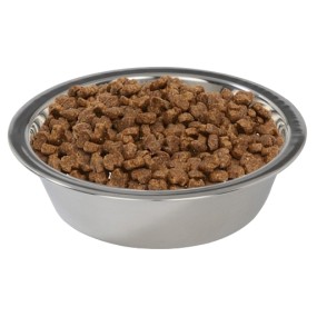Elevated Dog Bowl Supplier - Stainless Steel Copper Stand