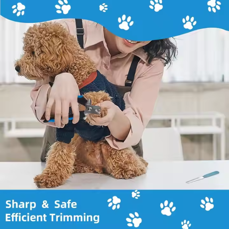 Pet Grooming Kit Supplier - 8 Piece Nail Hair Tools