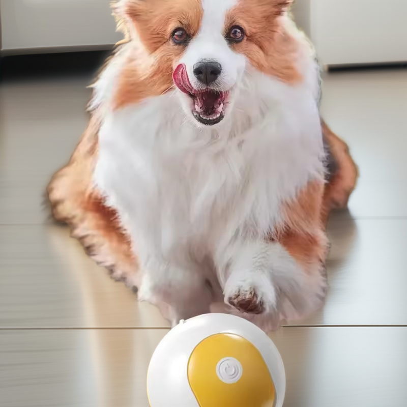 Dog Treat Dispenser Supplier - Adjustable Slow Feeding IQ