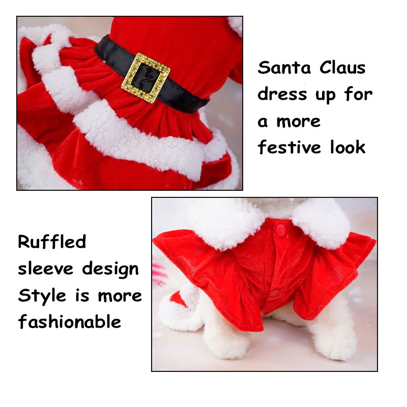 Pet Christmas Dress Manufacturer - Red Coat Skirt Festive