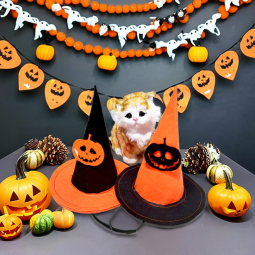 Pet Witch Hat Supplier - Halloween Pumpkin Cotton