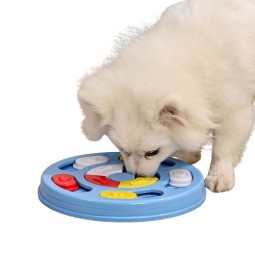 Pet Puzzle Toy Supplier - Training Food Slow Feeder