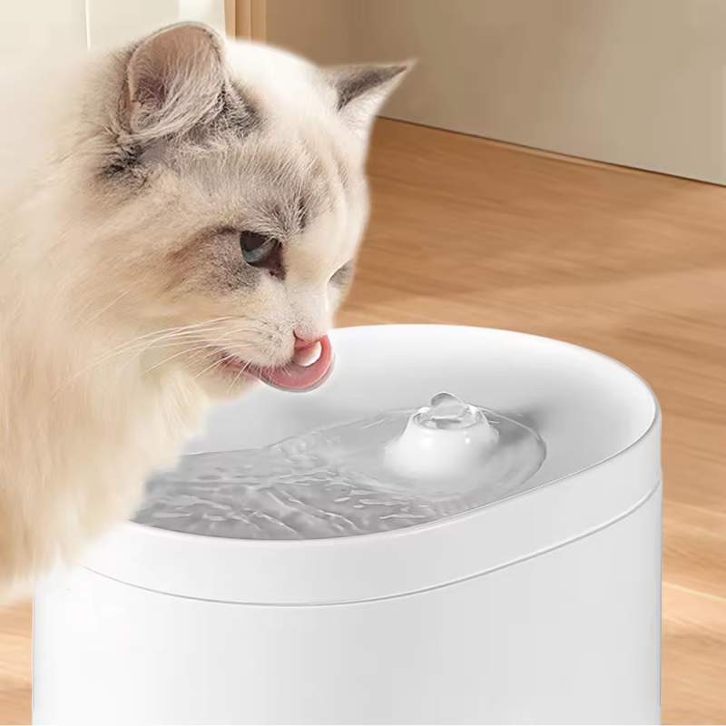 Pet Water Fountain Manufacturer - Electric Automatic ABS