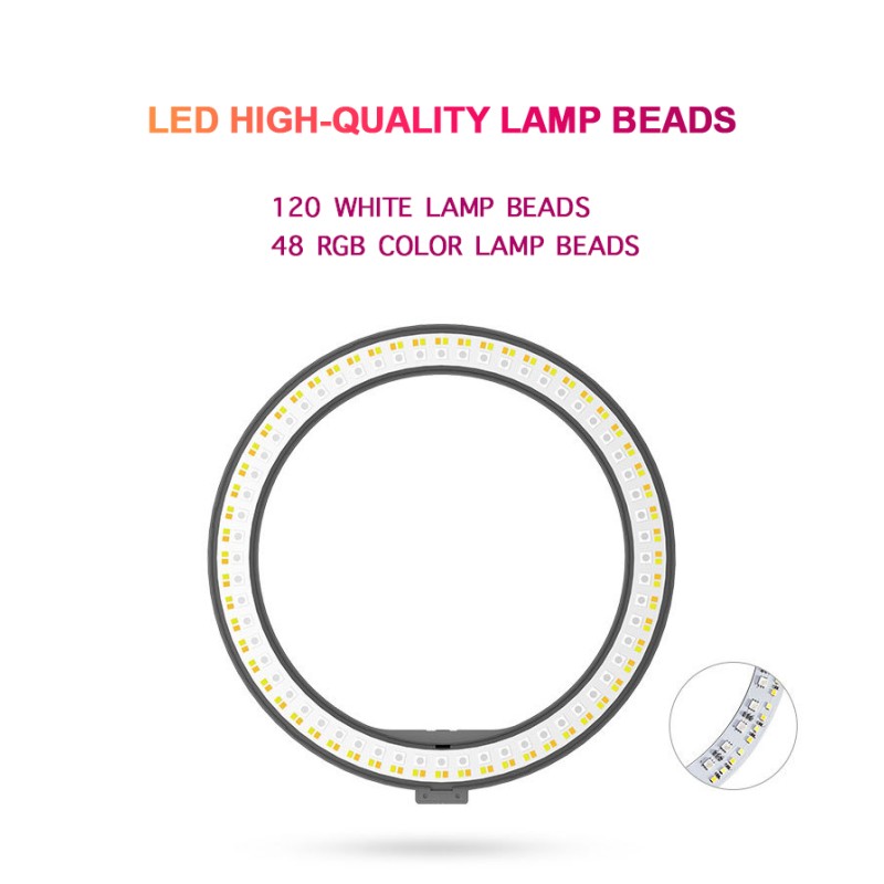 LED Ring Light Factory - 10inch TikTok Ring Light with Phone Holder RGB Light Desktop Tripod