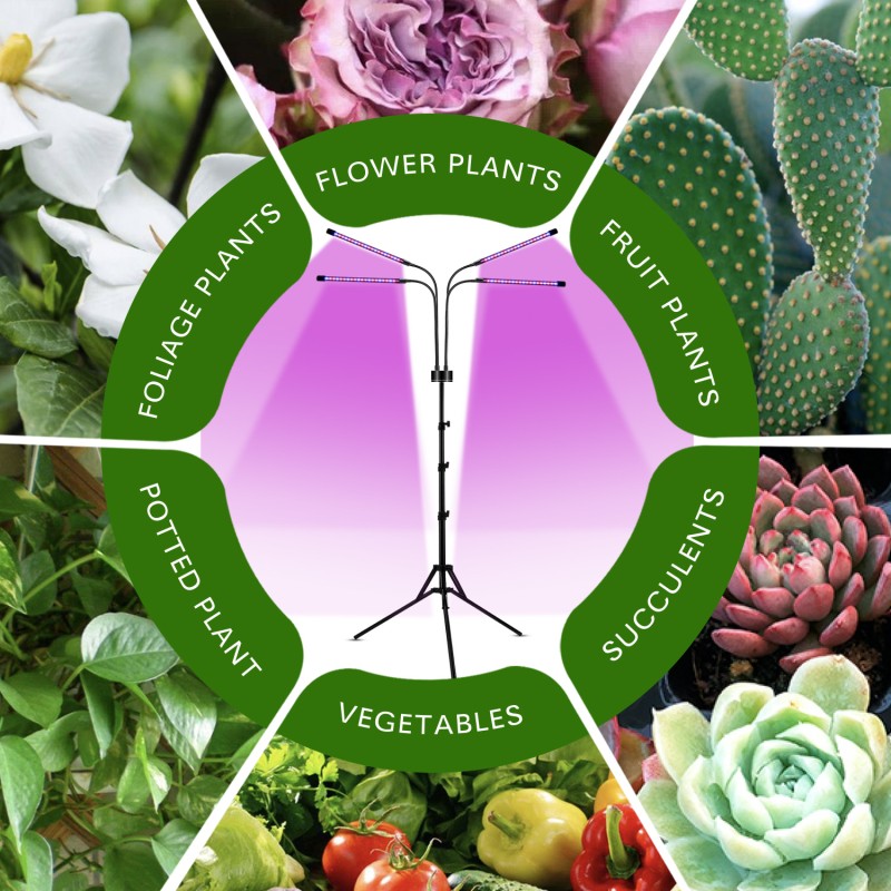 LED Grow Lights Manufacturer - Suitable for All Plants in Different Growth Stages Spectrum