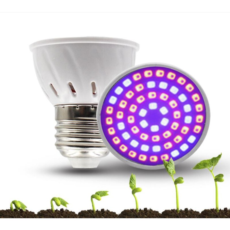 Growth Lamp Cup Factory - 3W LED Plant Growth Lamp Cup for Seedling Vegetable Growth