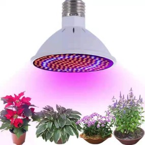 Growth Lamp Cup Factory - 3W LED Plant Growth Lamp Cup for Seedling Vegetable Growth