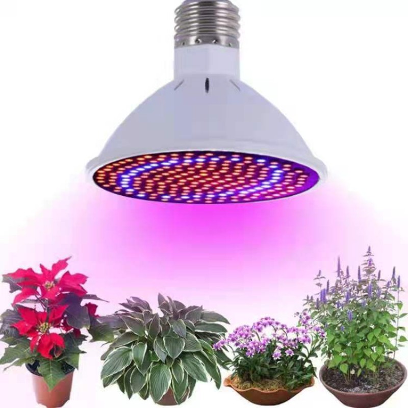 Growth Lamp Cup Factory - 3W LED Plant Growth Lamp Cup for Seedling Vegetable Growth