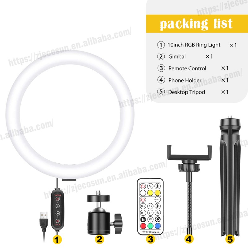 LED Ring Light Factory - 10inch TikTok Ring Light with Phone Holder RGB Light Desktop Tripod