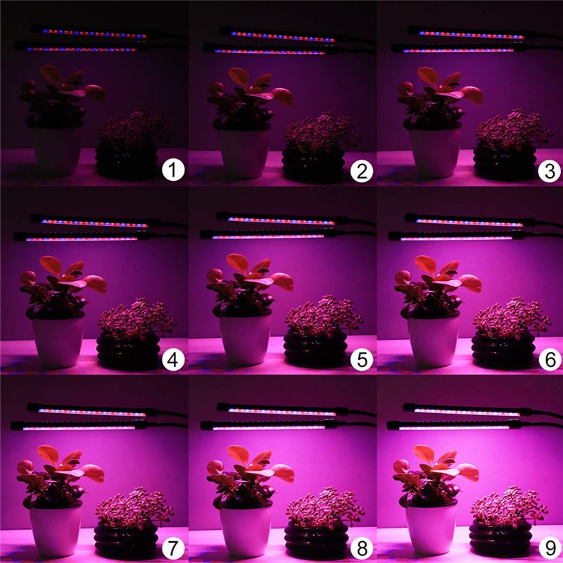 Indoor Grow Light Factory - 40W LED Plant Growth Light with Timer USB for Indoor Plants