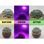 LED Plant Growth Light