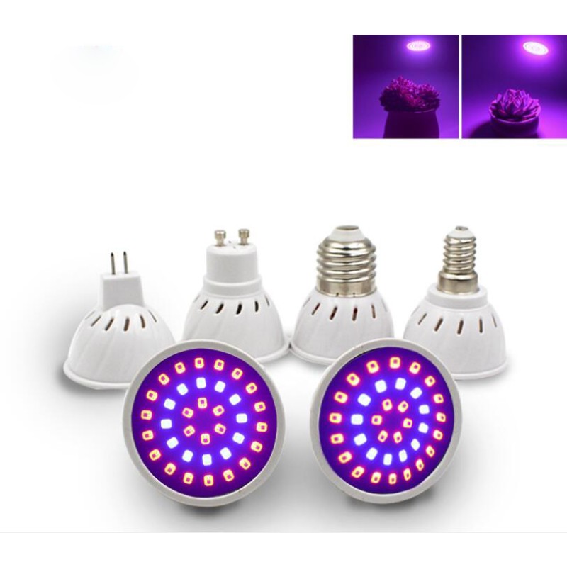 Growth Lamp Cup Factory - 3W LED Plant Growth Lamp Cup for Seedling Vegetable Growth