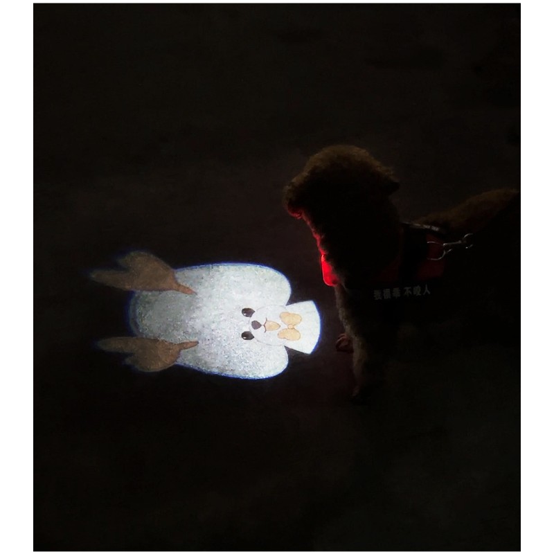 LED Pet Dispenser Supplier - Wireless LED Poop Holder Background Atmosphere Night Photography