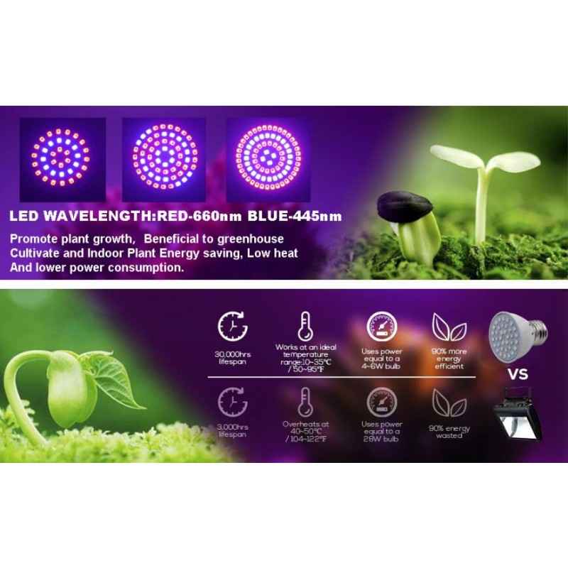 Plant Lamp Factory - 2835 SMD Plant Growth Lamp Cup for Seedling Vegetable Growth