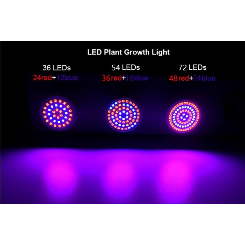Growth Lamp Cup Factory - 3W LED Plant Growth Lamp Cup for Seedling Vegetable Growth
