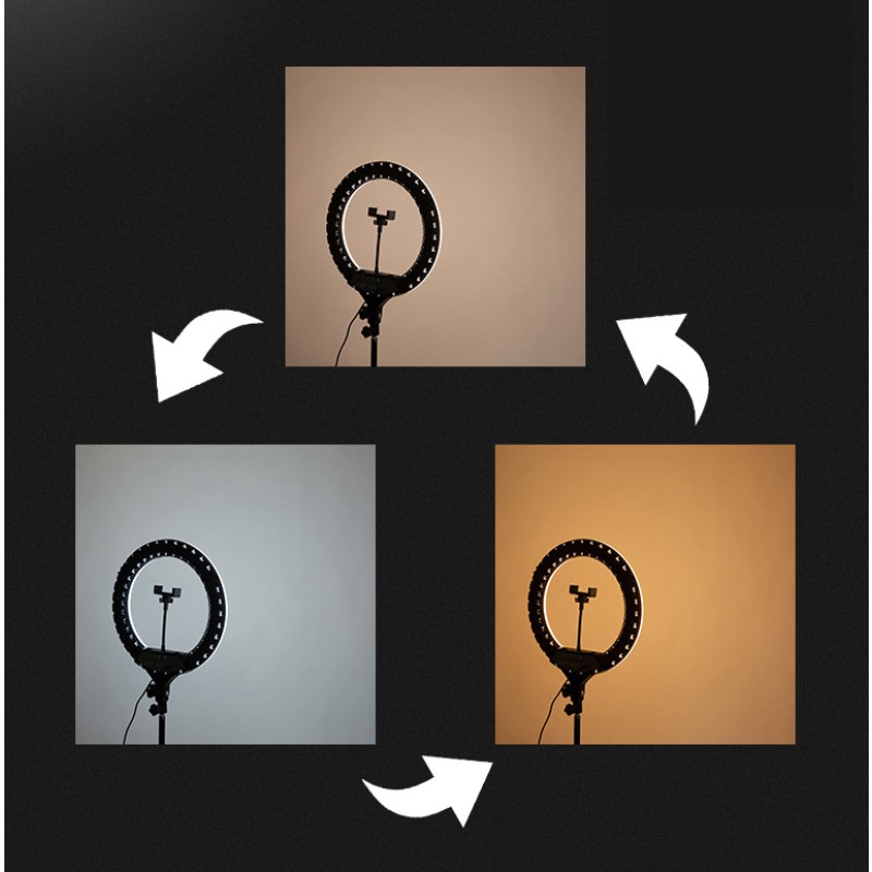 Photography Light Factory - 3000K-6000K Dimmable 10inch Ring Light with 2m Tripod Phone Holder