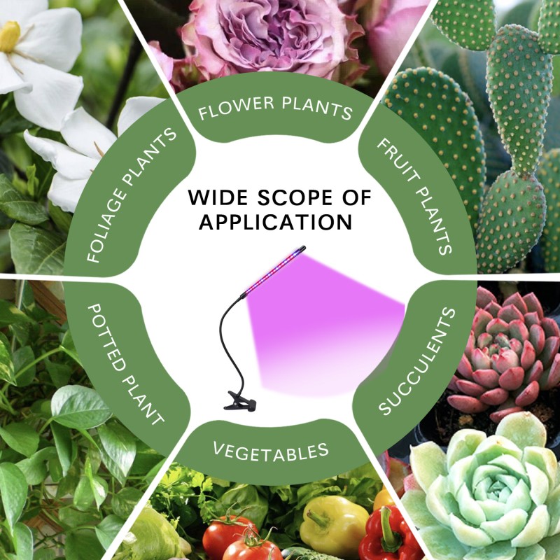 LED Grow Light Factory - 10W LED Plant Growth Light with Timer USB Port for Indoor Plants