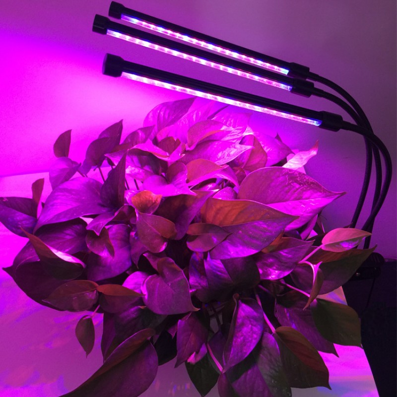 Plant Grow Light Manufacturer - Indoor Cultivation Full Spectrum LED Light for Aquarium Greenhouse