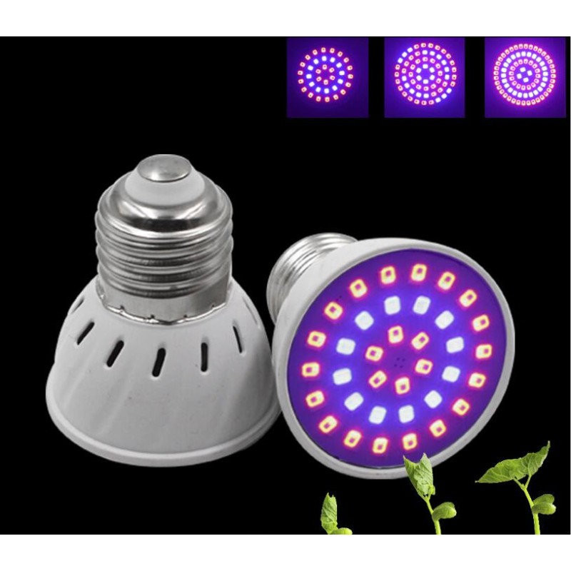 Plant Growth Lamp Manufacturer - E27 Plant Lamp 2835SMD for Seedling Vegetable Growth