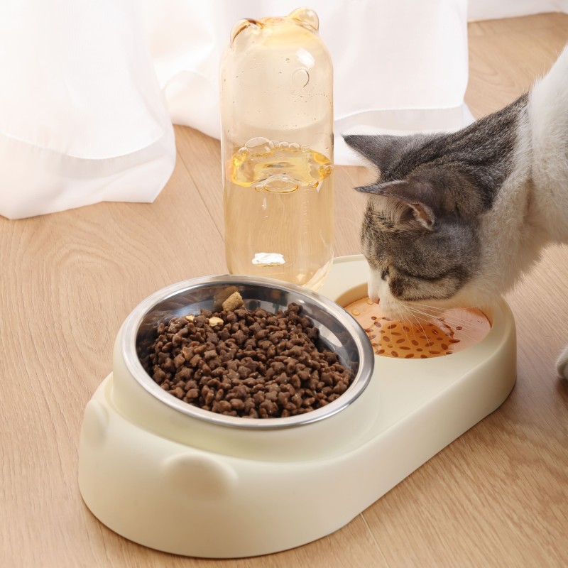 Pet Feeder Set Supplier - Automatic Elevated Tilted