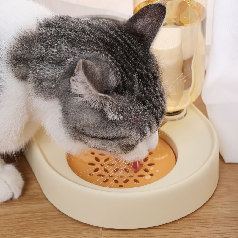 Pet Feeder Set Supplier - Automatic Elevated Tilted