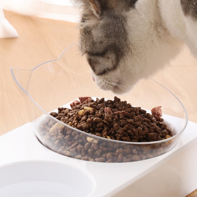 Pet Water Bowl Manufacturer - Food Grade PP Automatic