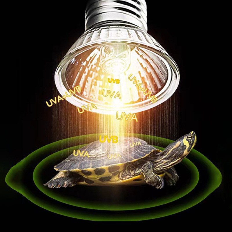 Reptile Lamp Supplier - Hot Sale UVA UVB Full Spectrum Heat Lamp for Terrarium Vitamin D3