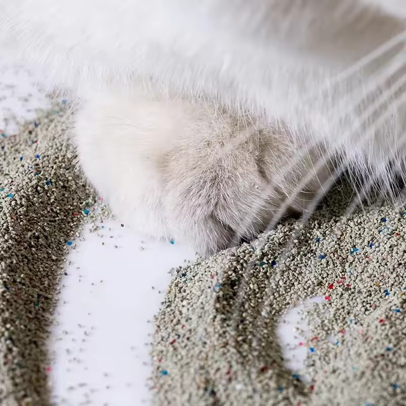 Clumping Cat Litter Supplier - Wholesale OEM Low Dust Eco Friendly 1-3mm Automatic Clumping Litter