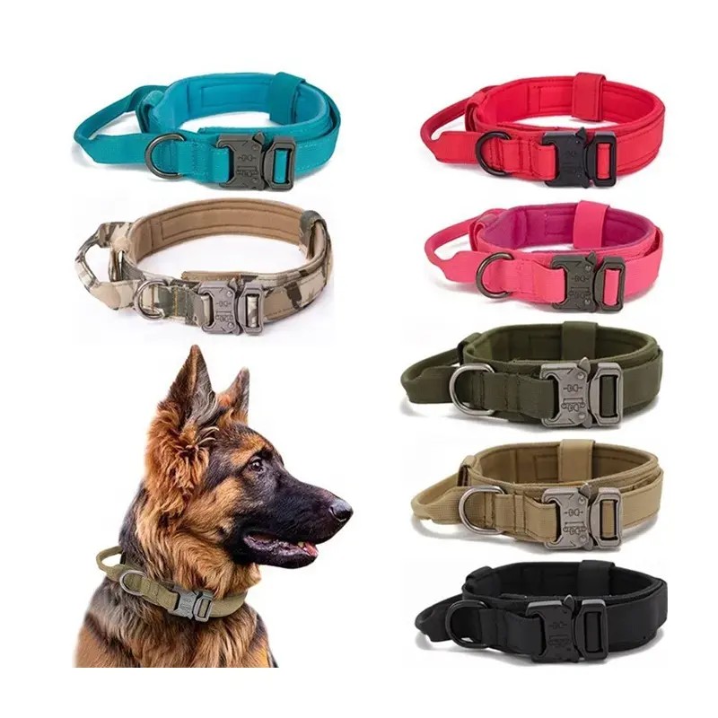 Leather Dog Collar Supplier - Factory Luxury Custom Strong Leather Dog Collar Long Training
