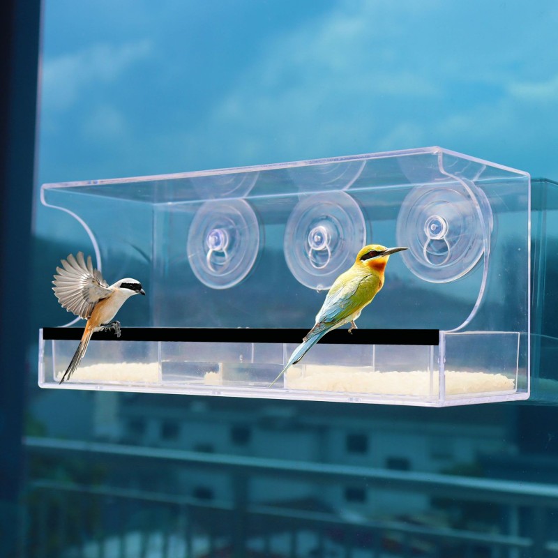 Bird Feeder Supplier - Hot Sale Simple Style Acrylic Suction Cup Hanging Window Bird Feeder