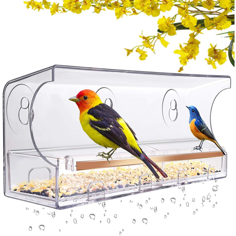 Bird Feeder Supplier - Hot Sale Simple Style Acrylic Suction Cup Hanging Window Bird Feeder
