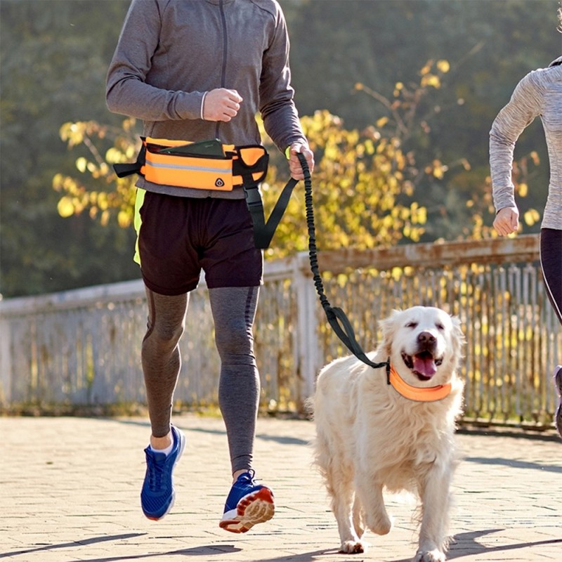Hands Free Leash Factory - Hands Free Dog Leash for Running with Waist Bag Retractable Belt