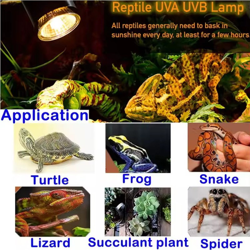 Heat Lamp Stand Manufacturer - Retractable Fluorescent Heat Lamp Stand for Reptiles Aluminum Ceramic