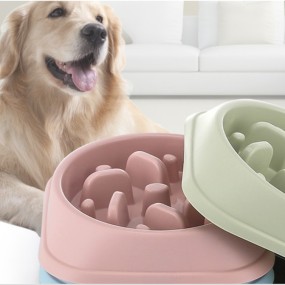 Slow Feeder Bowl Factory - Manufacturer Wholesale Packed in Color Box Portable Plastic Slow Feeder