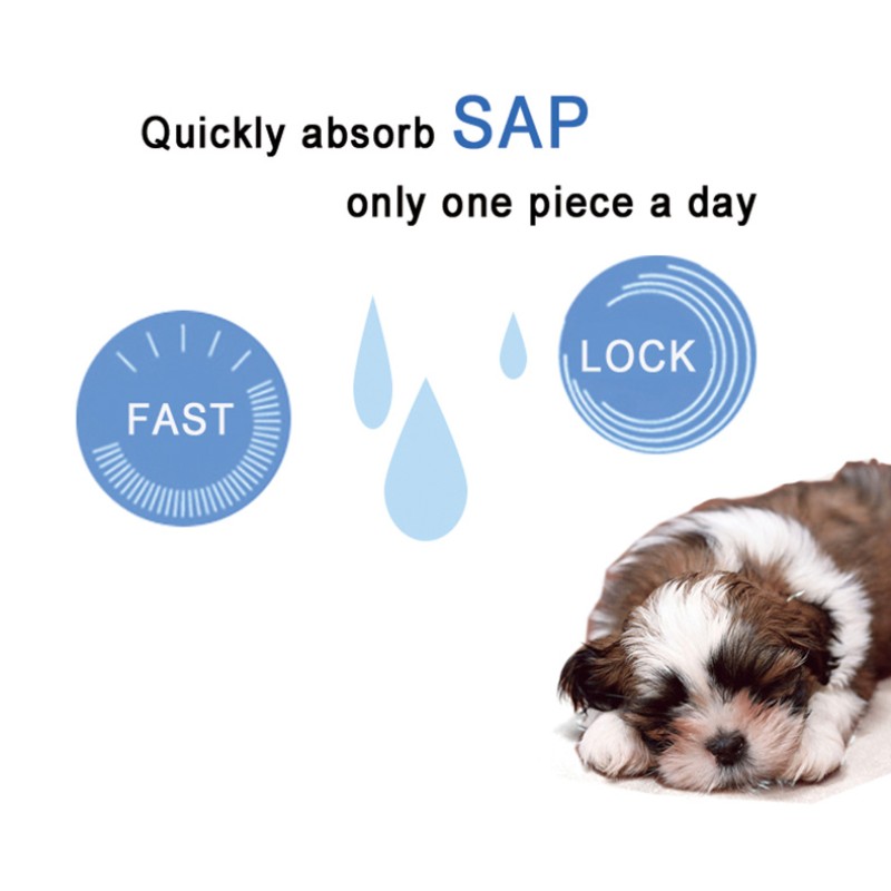 Dog Diapers Supplier - OEM ODM Custom Disposable Female Dog Diapers Eco Friendly