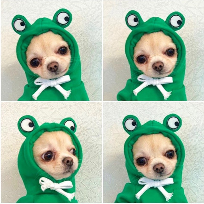 Cartoon Dog Hoodie Factory - Manufacturer Wholesale Hot Sale Cartoon Dog Hoodie Cute Banana Sweater