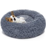pet bed