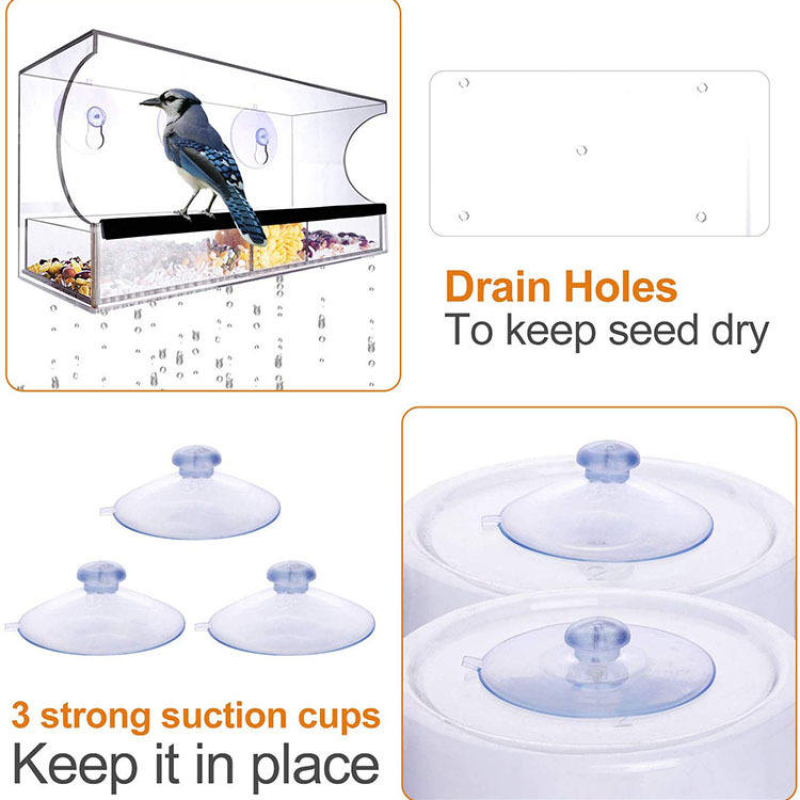 Bird Feeder Supplier - Hot Sale Simple Style Acrylic Suction Cup Hanging Window Bird Feeder