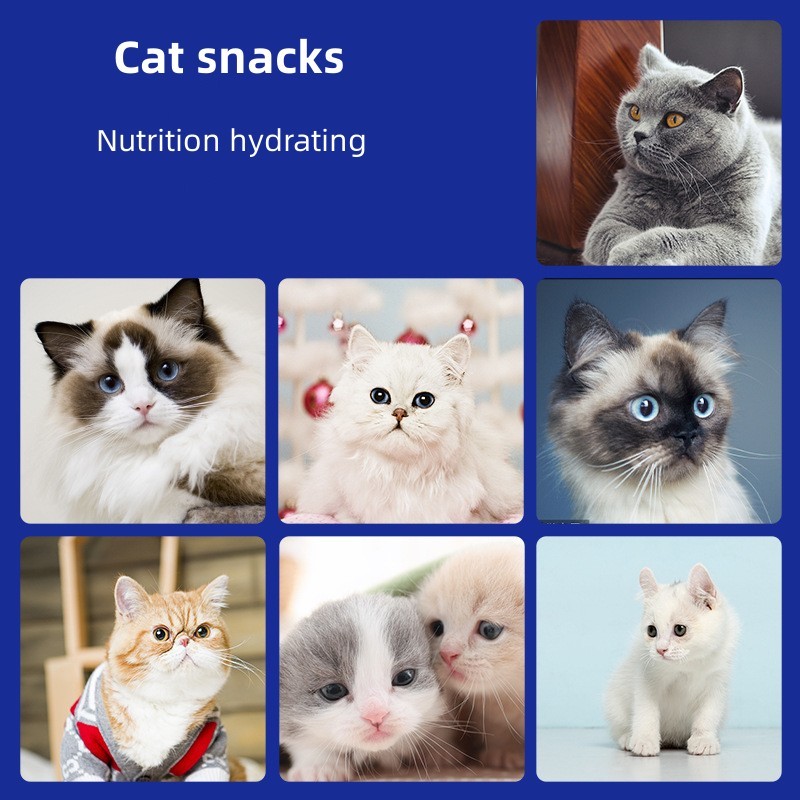 Pet Snacks Supplier - Baby Nutrition Wet Food Package with Fat Hair Cheeks for Pet Snacks