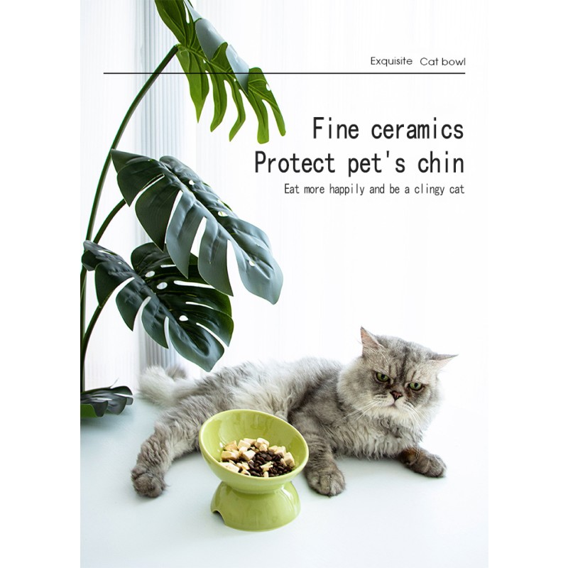 Raised Pet Bowls Supplier - High Quality New Arrival Customization Stoneware Adjustable Raised Bowl